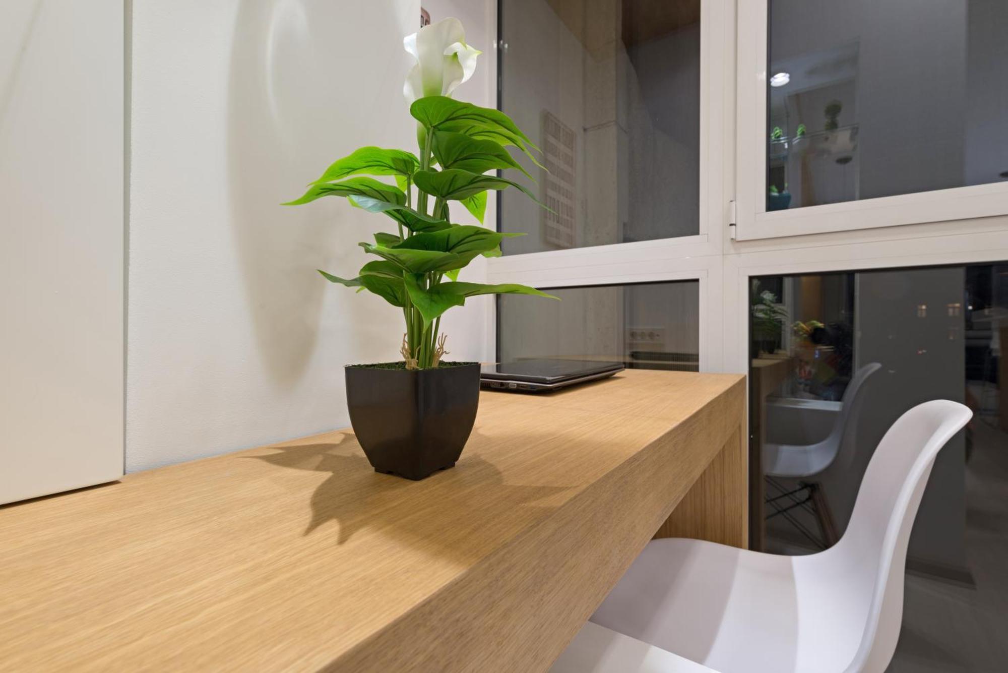 Vivio Luxury Apartment Belgrad Zewnętrze zdjęcie